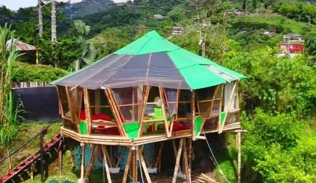 Glamping Horse
