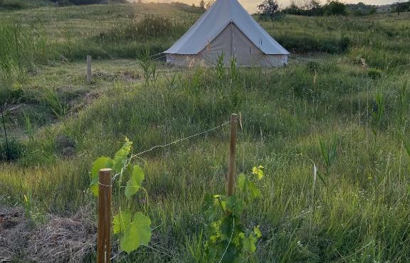 Glamping Orange Valley
