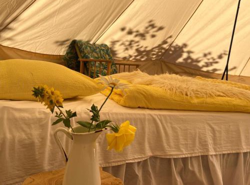 Glamping på stor og fredelig landejendom i Sydfyn