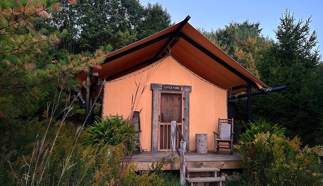 Glamping Tent - Luxurious amenities in the heart of nature!