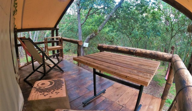 Glamping tipo safari