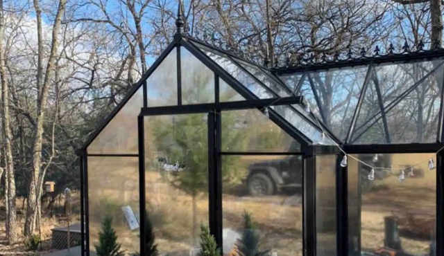 Glamping Under the Stars at The Little Forest Nest!