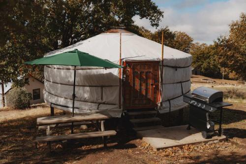 Glamping yurt at a nature retreat Sequoia Highland