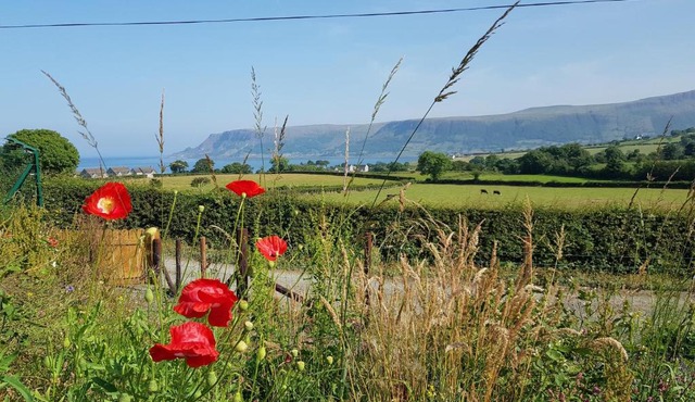 Glens glamping