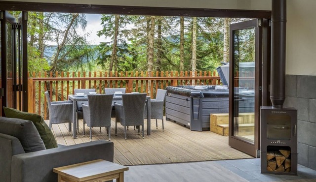 Glentress Forest White Willow Premium Valley View