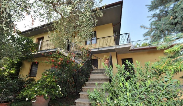 Gli Olivi