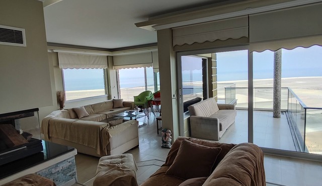 Gold plus villa