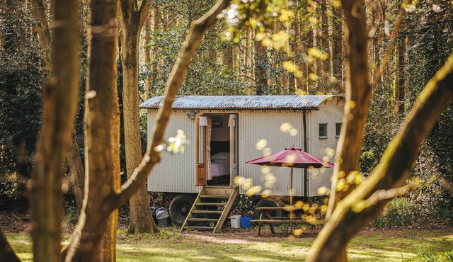 Goosewing Hut-QU7072