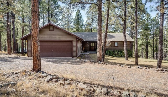 Gorgeous Cabin with Fireplace and Barbecue in Greer, Arizona