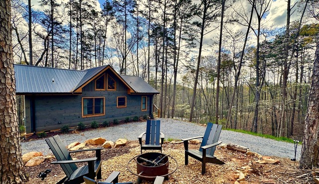 Gorgeous CANOPY - Privacy, Views, Hot Tub, Fireplace, btwn Blue Ridge & Ellijay!