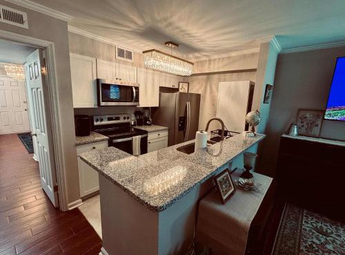 Gorgeous Condo across from Vet School