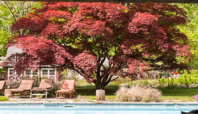 Gorgeous Garrison Gem Pool Sauna Hot Tub More