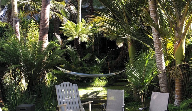 Gorgeous oasis, 4-bedroom house in San Francisco, walking distance to the bay.