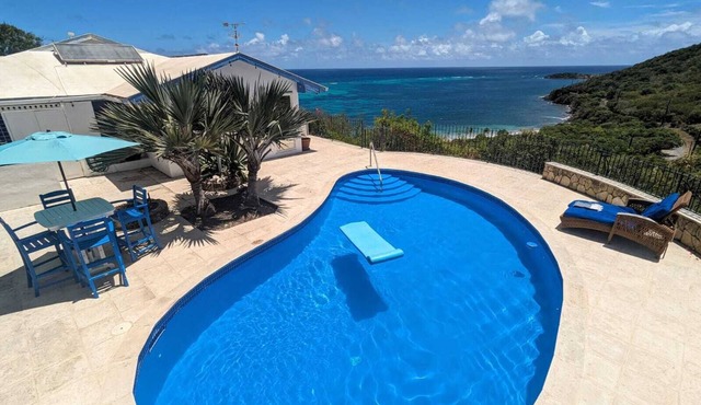 Gorgeous Private Pool And Ocean Views Await!