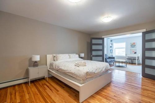 Gorgeous & Sunny Executive Suite AC, Unit #2