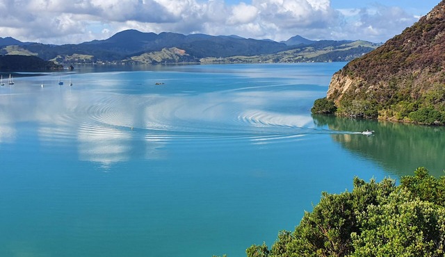 Gorgeous Waterfront Views and Private Access to Bay