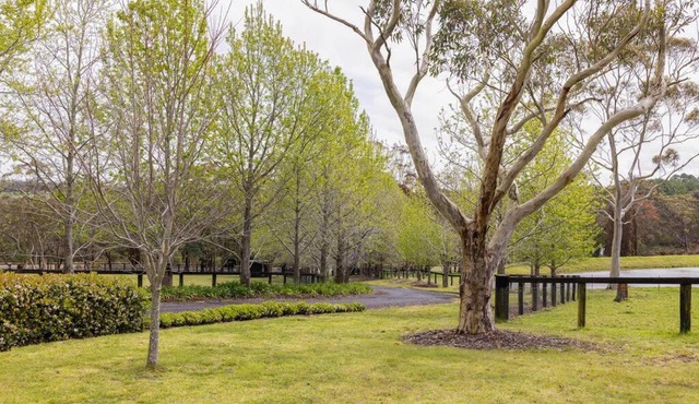 Graelynn Farm