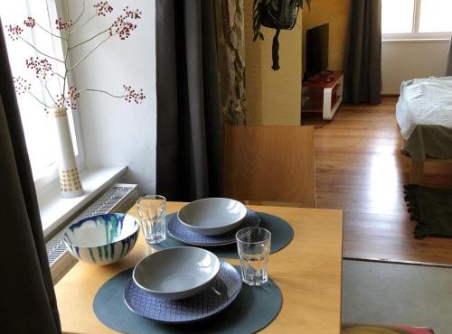 Grand Central- Studio Apartment
