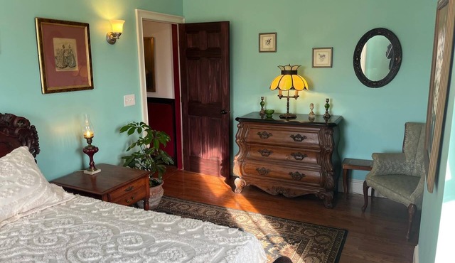 Grand Historic Downtown Apartment