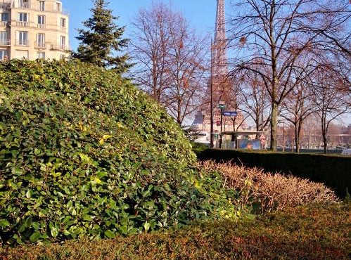 Grand Studio près de Tour Eiffel sur quai de Seine