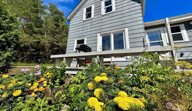 Grant Street Retreat - Close to trails and skiing!