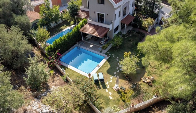 Grass Villa 2
