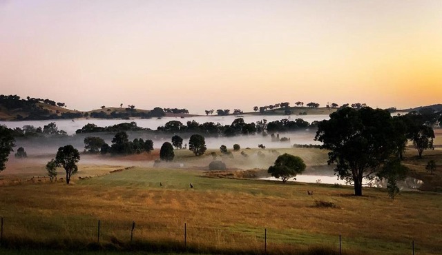 Grattai Grove Mudgee