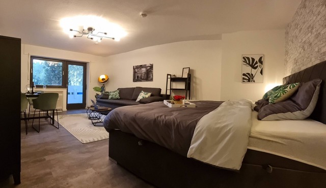 Great apartment in industrial style nearby city centre