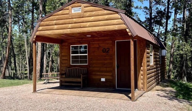 Great Cabin with Comfy Interior in South Dakota