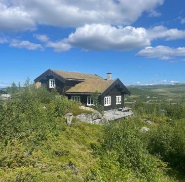 Great cabin with gorgeous mountain views