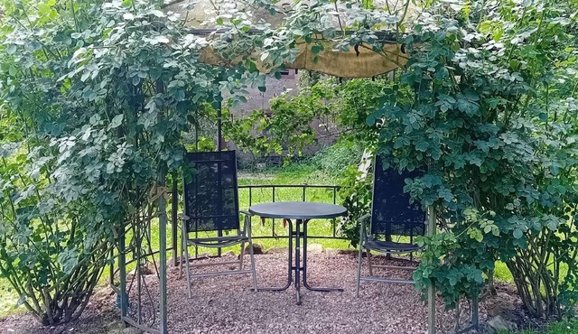 Great flat in Klüsserath with large garden