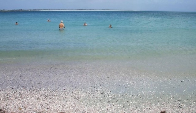 great Rangiputa Bach