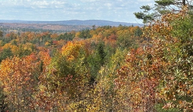 Great View Tree Farm