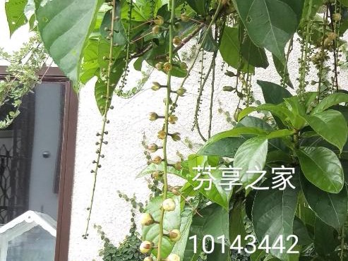 Green 58 B&B