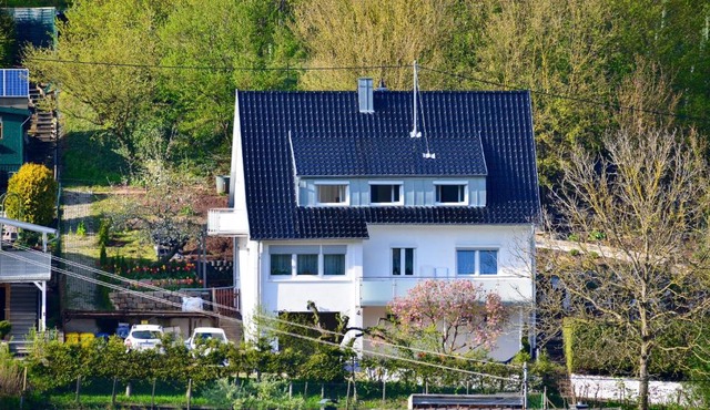 Green Bambus Wohnung