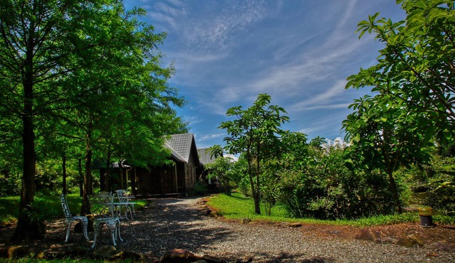 Green Forest Villa