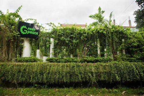 Green Peace
