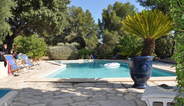 Green setting with Sea View Maison dans un écrin de verdure Vue Mer et Piscine
