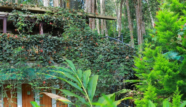Green Spaces Munnar