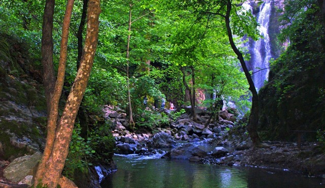 Green Termal Otel