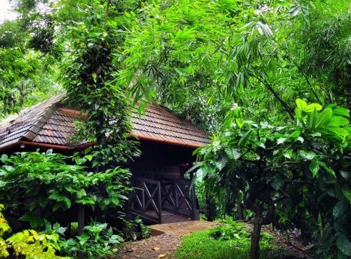 Greens Tree House & Wood House