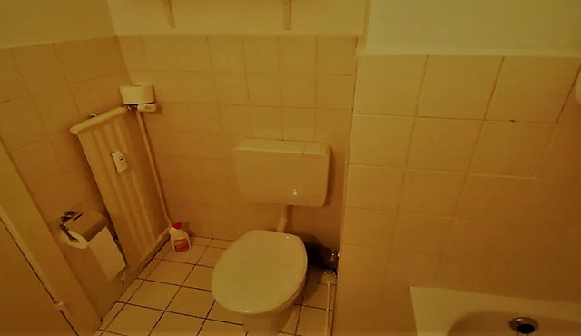Großzügiges 1-zimmer-dachgeschoß-appartement