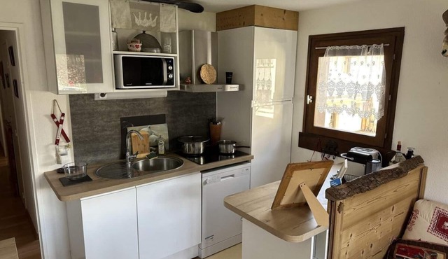 Ground floor, view mountain, balcony, parking, tv, ski locker, 45m², Combloux