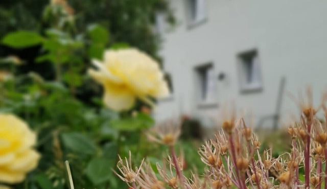 Group accommodation for nice meetings with friends, family and friends