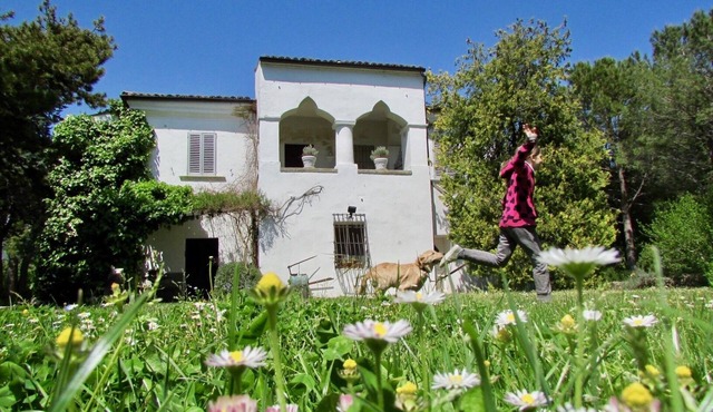 GROUPS (up to 9 apartments and 35 p) under mountains & only 30 min. from beaches
