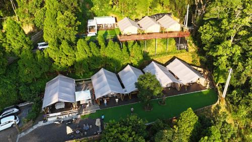 Grow Tree Glamping