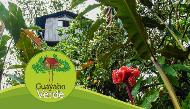 Guayabo Verde
