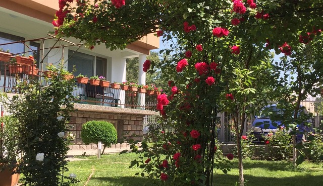 Guest House "Aleksandra"