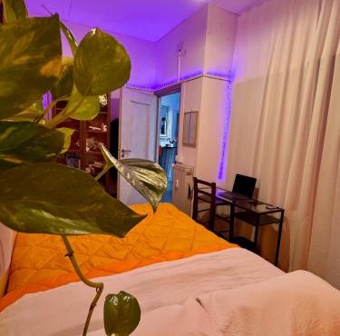 Guest House Romoli