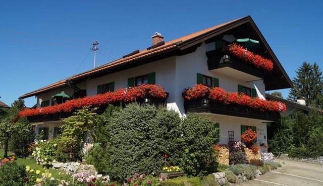 Guesthouse Eisgruber - Apartment (Type C)